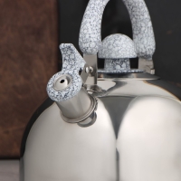 Чайник со свистком из нержавеющей стали Доляна &laquo;Мрамор&raquo;, 3 л, фиксированная ручка, цвет хромированный