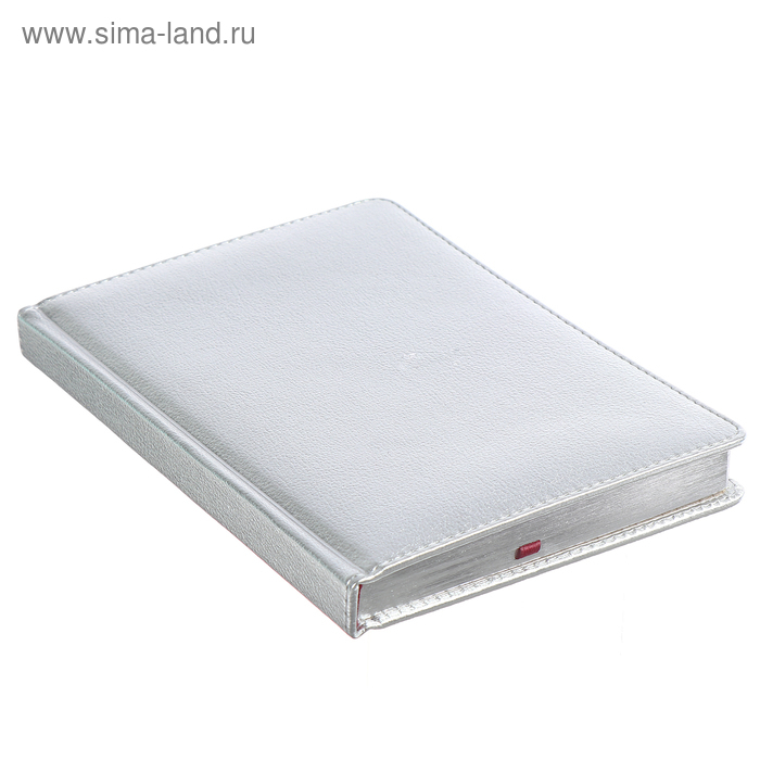 Ежедневник недатированный А5+, 136 листов Sidney Nebraska, обложка искусственная кожа, серебряный срез, ляссе, серебряный