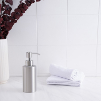 Дозатор для мыла Штольц St&ouml;lz, нержавеющая сталь, 250 мл