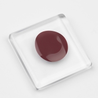 Гель лак для ногтей &laquo;DELICATE NUDE&raquo;, 3-х фазный, 8 мл, LED/UV, цвет коричневый (56)