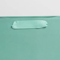 Пакет подарочный ламинированный, упаковка, &laquo;Тиффани&raquo;, MS 18 х 23 х 10 см