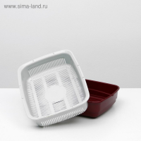 Лоток большой с сеткой и бортиком Atlantis "Стандарт", 43 х 33 х 12,5 см, красный, Лоток большой с сеткой и бортиком Atlantis "Стандарт", 43 х 33 х 12,5 см, красный,