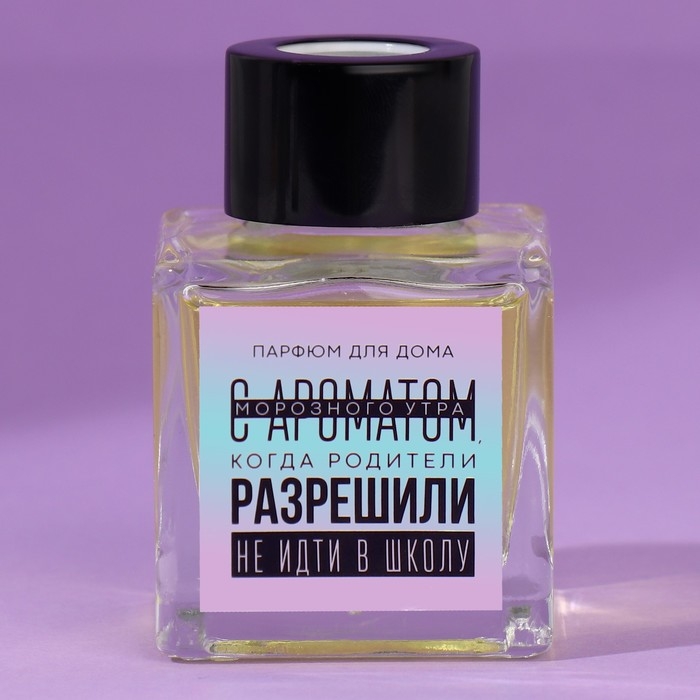 Диффузор ароматический &laquo;Аромат морозного утра&raquo;, апельсин, 50 мл.