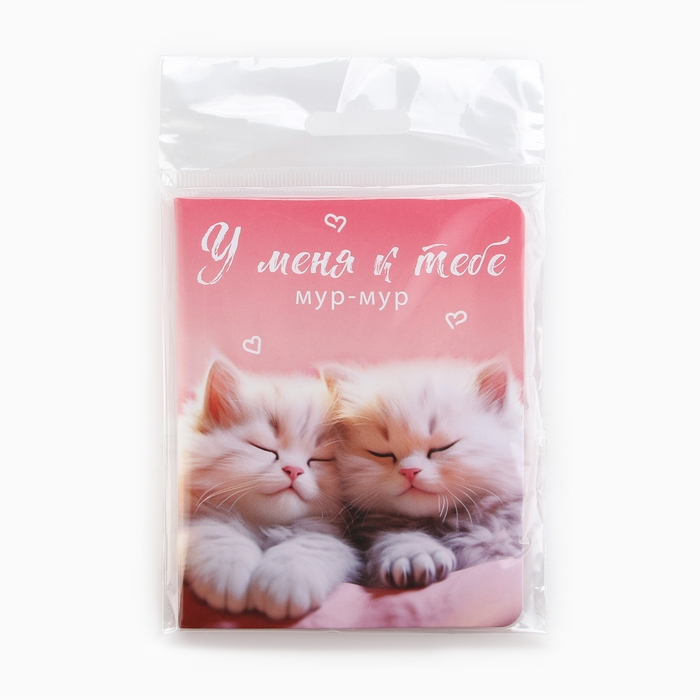 Значок на открытке &laquo;Котики&raquo;, 10 х 8 см