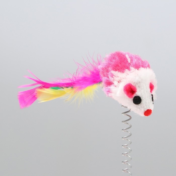 Дразнилка на основании Дразнилка на основании "Кошкина радость", 15 см, микс цветов