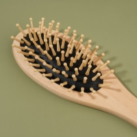 Расчёска массажная «Натурель», 6 × 22 см, цвет «светлое дерево» Расчёска массажная «Натурель», 6 × 22 см, цвет «светлое дерево»