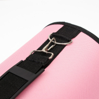 Сумка - переноска для животных "Воздушный поцелуй", розовая, размер M,45 х 21 х 27см Сумка - переноска для животных "Воздушный поцелуй", розовая, размер M,45 х 21 х 27см