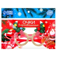 Карнавальные очки «Новогодние», цвета МИКС Карнавальные очки «Новогодние», цвета МИКС