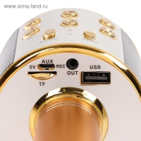 Микрофон для караоке Luazon LZZ-56, WS-858, 1800 мАч, жёлтый Микрофон для караоке Luazon LZZ-56, WS-858, 1800 мАч, жёлтый