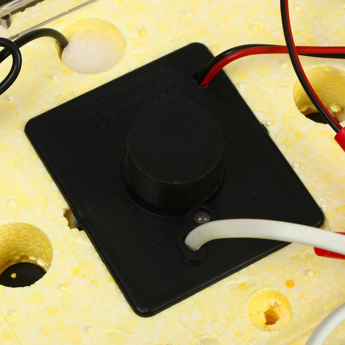 Инкубатор бытовой &laquo;Золушка&raquo;, на 98 яиц, автоматический переворот, 220 В/12 В