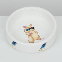 Миска керамическая для грызунов "На стиле" 80 мл 8,5 х 3 см Миска керамическая для грызунов "На стиле" 80 мл 8,5 х 3 см