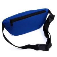 Сумка на пояс «Putin team», 32 x 8 x 15 cм, база, отд на молнии, синяя Сумка на пояс «Putin team», 32 x 8 x 15 cм, база, отд на молнии, синяя