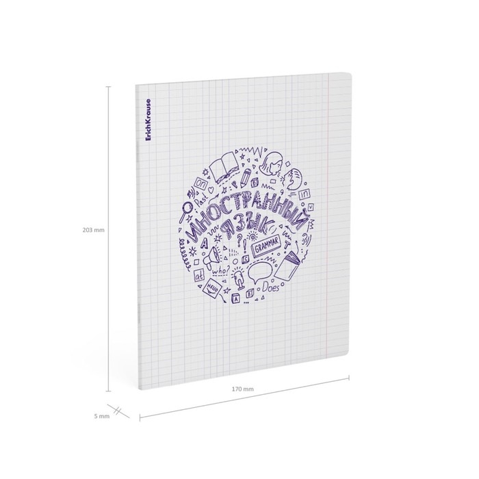 Тетрадь предметная ИНОСТРАННЫЙ ЯЗЫК, 48 листов в клетку, ErichKrause Chaos, пластиковая обложка, шелкография, блок офсет 100% белизна, инфо-блок