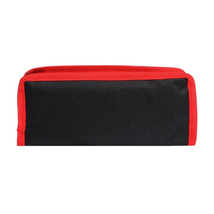 Пенал школьный на молнии Calligrata "Мяч", 2 отделения, МИКС