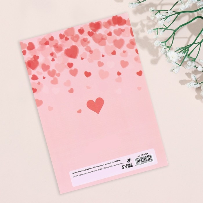 Папка под свидетельство о рождении "Для девочки" девочка, А5