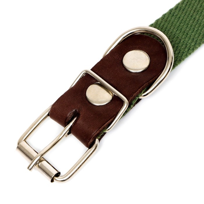 Ошейник брезентовый однослойный, 60,5 х 2,5 см, ОШ 30-55 см, тёмно-зелёный Ошейник брезентовый однослойный, 60,5 х 2,5 см, ОШ 30-55 см, тёмно-зелёный