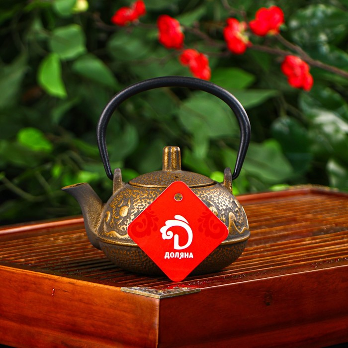 Чайник для плиты Доляна &laquo;Волна. Этно&raquo;, 300 мл, с ситом, чугун, цвет бронзовый