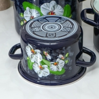 Набор эмалированных кастрюль &laquo;Ванда&raquo;, 3 предмета: 2.4 л, 3.4 л, 5 л, индукция