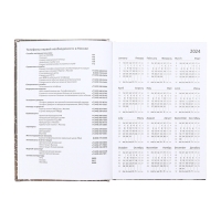 Ежедневник датированный 2025 A5 168 листов, Attomex. Arkona, твердая обложка, бумвинил с поролоном, ляссе,блок 70, серый Ежедневник датированный 2025 A5 168 листов, Attomex. Arkona, твердая обложка, бумвинил с поролоном, ляссе,блок 70, серый