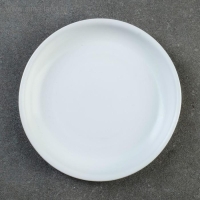 Поддон для горшка 1,7 л ( D=15 см) подходит к кашпо 1,0 л,1,65л; 2,4л; 2,5л; белый Поддон для горшка 1,7 л ( D=15 см) подходит к кашпо 1,0 л,1,65л; 2,4л; 2,5л; белый