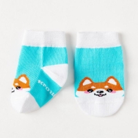 Набор носков Крошка Я &laquo;Корги&raquo;, 2 пары, 12-14