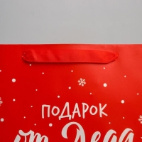 Пакет подарочный новогодний ламинированный &laquo;Подарок от Деда Мороза&raquo;, M 26 х 30 х 9 см