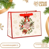 Пакет ламинированный &laquo;Время чудес!&raquo;, MS 23 &times; 18 &times; 10 см