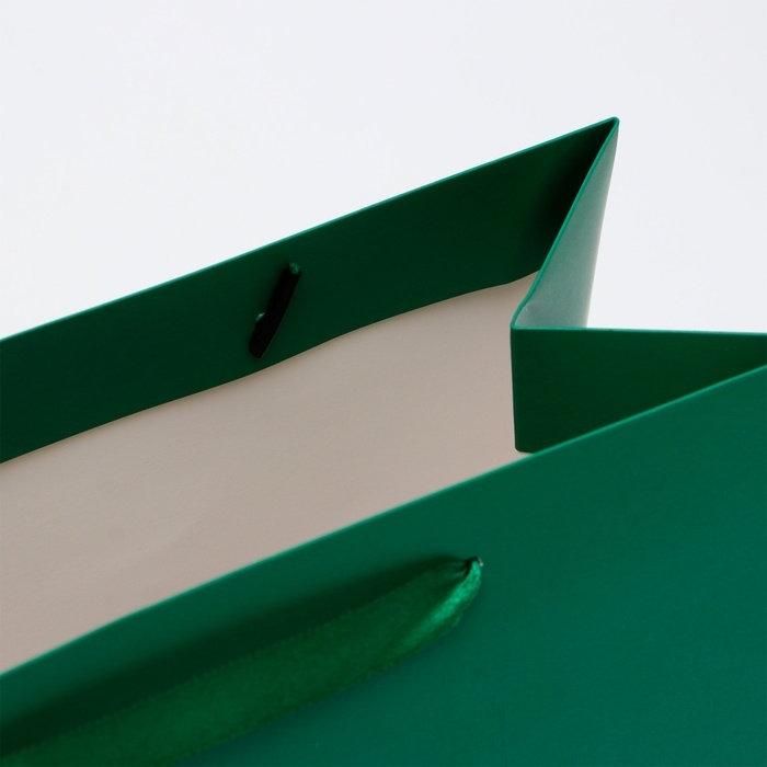 Пакет ламинированный горизонтальный «Изумрудный», ML 27 × 23 × 11.5 см Пакет ламинированный горизонтальный «Изумрудный», ML 27 × 23 × 11.5 см