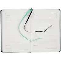 Ежедневник Alanis, недатированный, черный c бирюзовым Ежедневник Alanis, недатированный, черный c бирюзовым