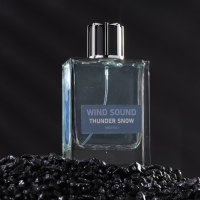 Туалетная вода мужская "Звук Ветра", "Снежная Гроза", 100 мл Туалетная вода мужская "Звук Ветра", "Снежная Гроза", 100 мл