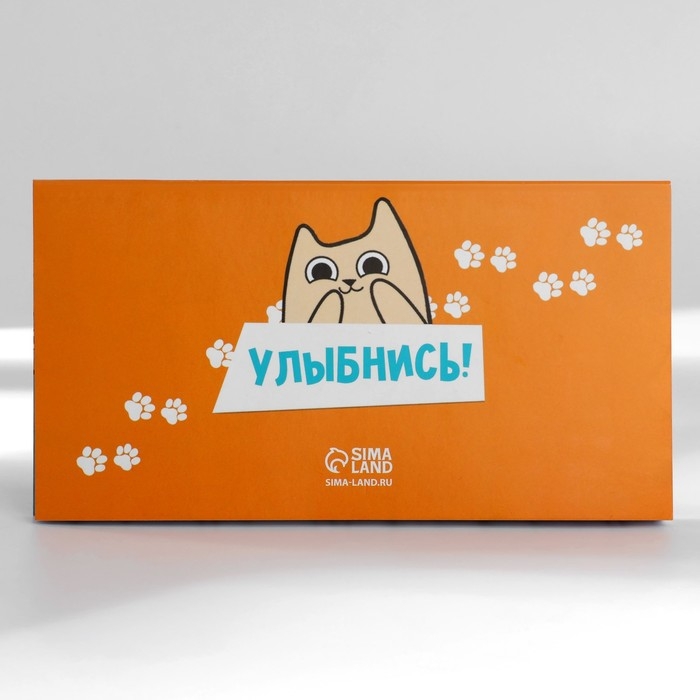 Подарочный набор "Котопланинг" планинг и ручка