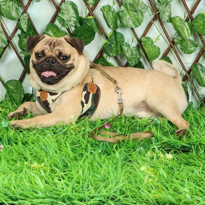 Комплект "Рефлекс", размер L, поводок 95 см, ОГ 25-64 см, камуфляж