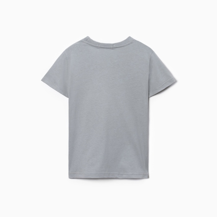 Футболка для мальчика, цвет серый, рост 116 см Футболка для мальчика, цвет серый, рост 116 см