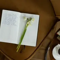 Ежедневник Nubuk, недатированный, синий Ежедневник Nubuk, недатированный, синий