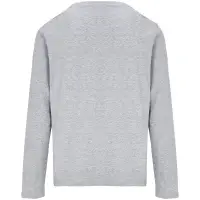 Футболка с длинным рукавом женская Monarch Women, серый меланж, размер L