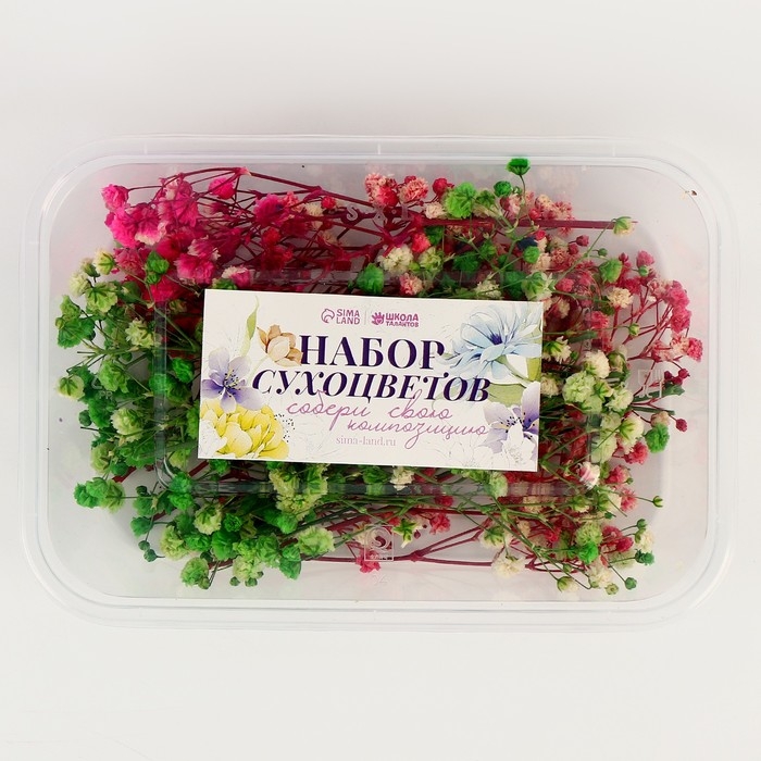 Набор сухоцветов &laquo;Гипсофилы&raquo;