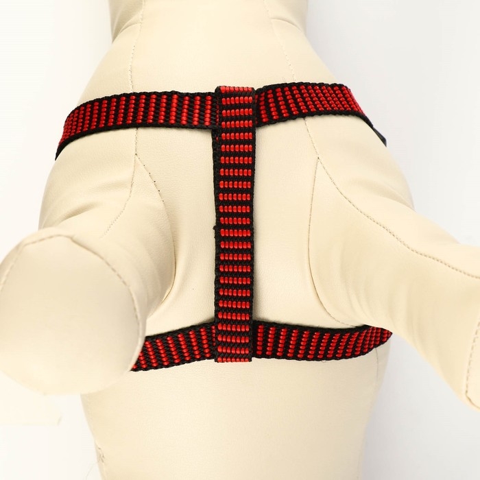 Комплект амуниции рельефный, 1,5 см, шлейка 36-49 см, поводок 120 см, красно-чёрный Комплект амуниции рельефный, 1,5 см, шлейка 36-49 см, поводок 120 см, красно-чёрный