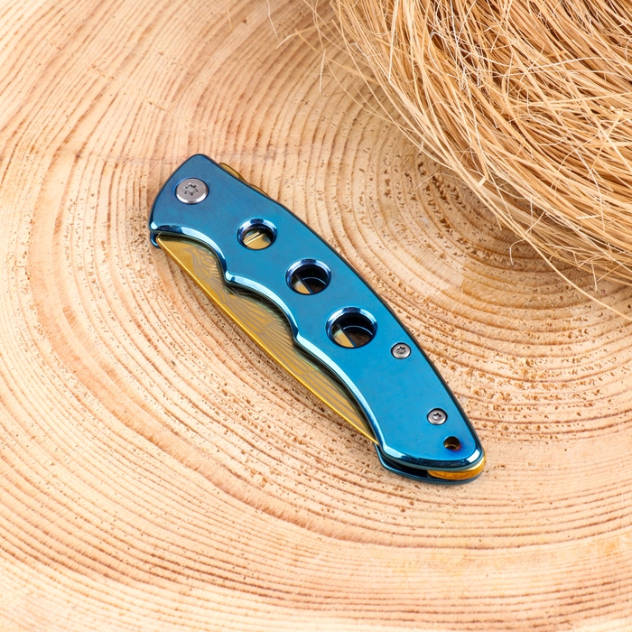 Нож складной Нож складной "Байкер" 16,5см, клинок 70мм/2мм