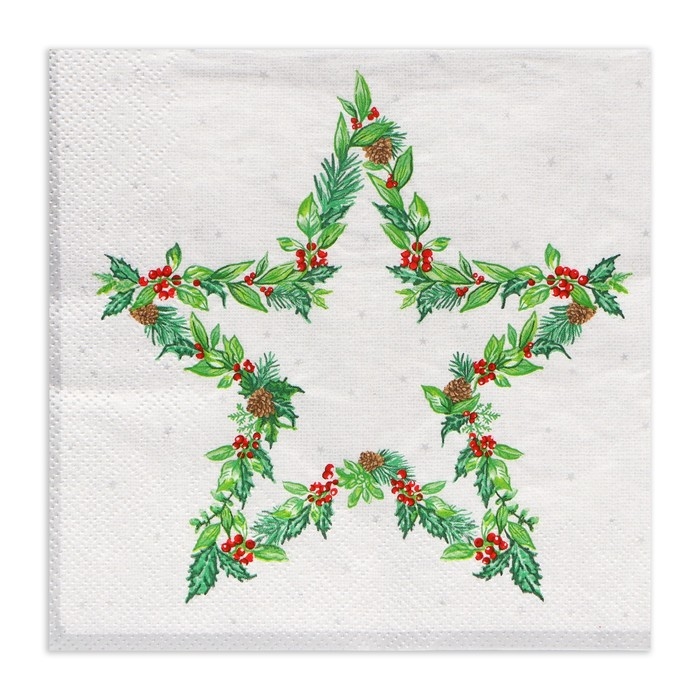 Новогодние салфетки бумажные Home Collection &laquo;Рождественская звезда, серебро&raquo;, 3 слоя, 33х33 см, 20 шт