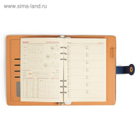 Органайзер на кольцах "Классика" А5, 96 листов в линейку, с ремешком, МИКС Органайзер на кольцах "Классика" А5, 96 листов в линейку, с ремешком, МИКС