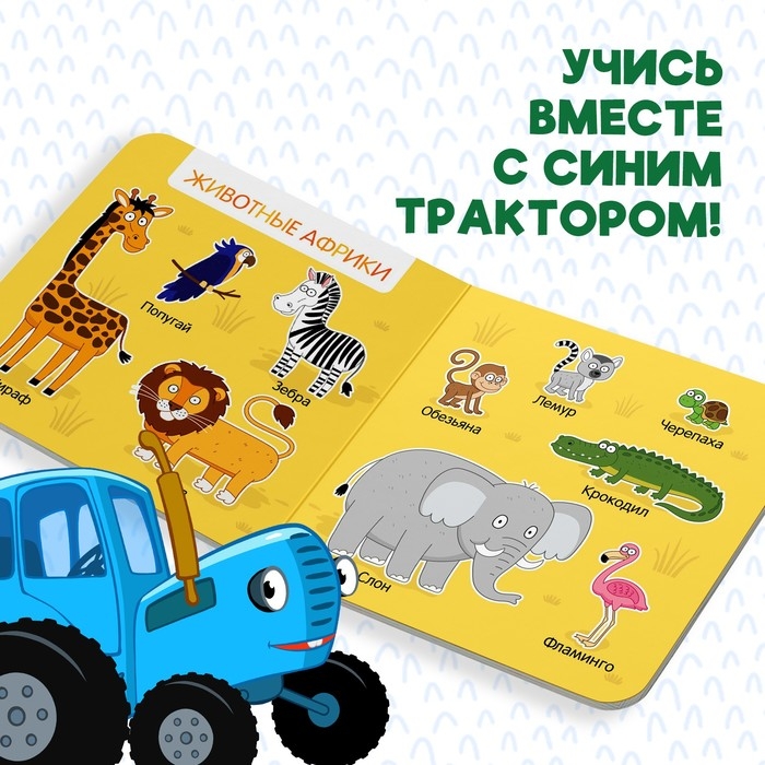Картонная книга «Первая книга. Удивительные животные», 10 стр., 15 × 15 см, Синий трактор Картонная книга «Первая книга. Удивительные животные», 10 стр., 15 × 15 см, Синий трактор