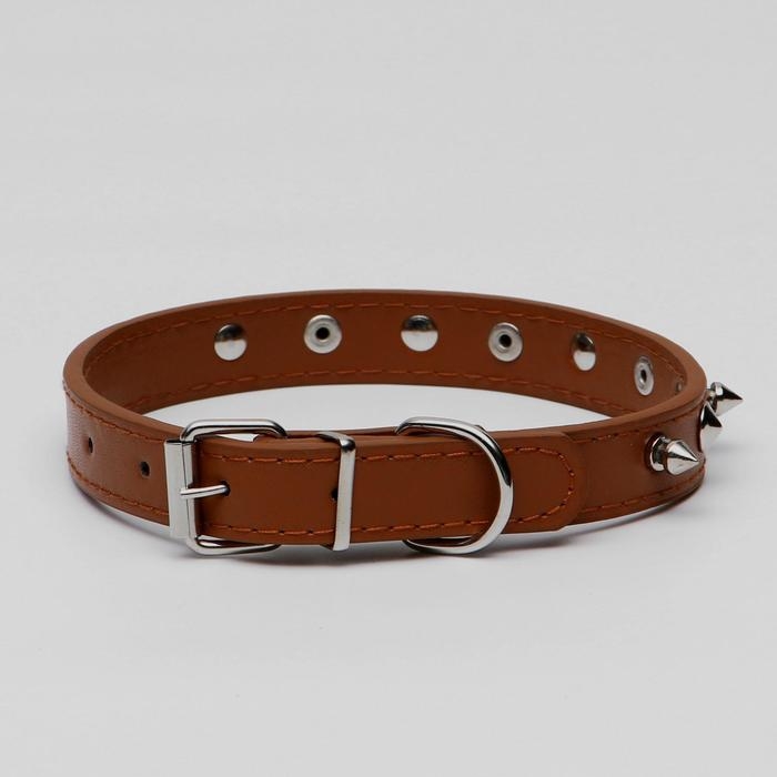 Ошейник "Лион" с шипами 45 х 2 см, ОШ 34-40 см, коричневый