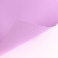 Картон цветной тонированный, А4, 8 листов, 8 цветов, немелованный, двусторонний, в пакете, 180 г/м², Маша и Медведь Картон цветной тонированный, А4, 8 листов, 8 цветов, немелованный, двусторонний, в пакете, 180 г/м², Маша и Медведь