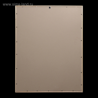 Фоторамка сосна с19 серебро 70х90 см (пластиковый экран)