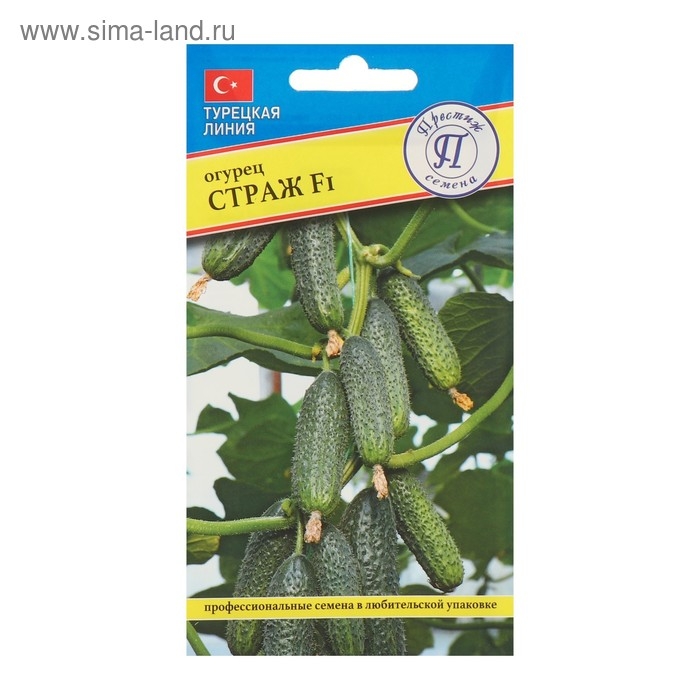 Семена Огурец Семена Огурец "Страж" F1, 5 шт