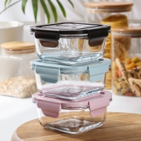 Контейнер из жаропрочного стекла с крышкой Cook and Freeze, 300 мл, 12×6 см, цвет МИКС Контейнер из жаропрочного стекла с крышкой Cook and Freeze, 300 мл, 12×6 см, цвет МИКС