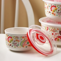 Набор салатников керамических с вакуумными крышками &laquo;Ирена&raquo;, 3 предмета: 300 мл, 600 мл, 900 мл