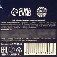 Новый год! Чай чёрный &laquo;Тепла и уюта&raquo; в фильтр-пакетах , 20 шт.