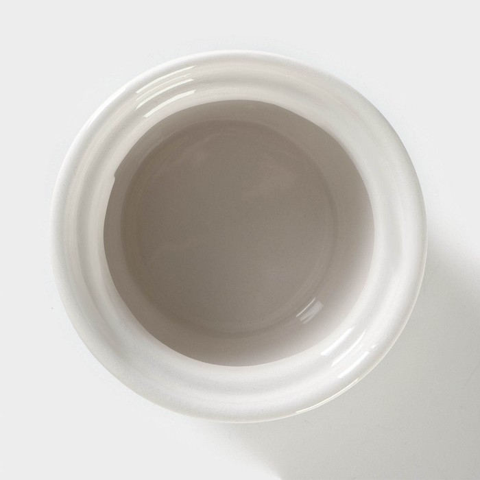 Банка для хранения сыпучих продуктов Доляна &laquo;Кактус&raquo;, 170 мл, 8&times;8&times;12 см, керамическая