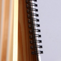 Скетчбук А4, 32 листа, 190 г/м2 &laquo;Девушка с сережкой&raquo;